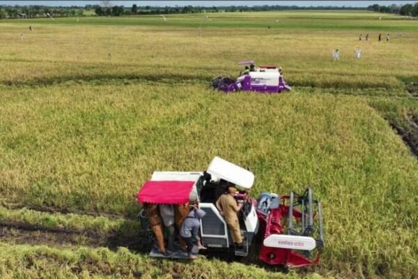Program Swasembada Pangan Dorong Terciptanya Lapangan Kerja